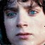 Frodo Baggins