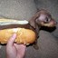 i like hot dogs