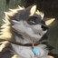 Oversized Tundra Puppy's avatar