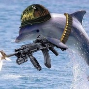 arsenaldolphin