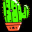 kaktus2252