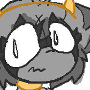 Jersey Raccoon