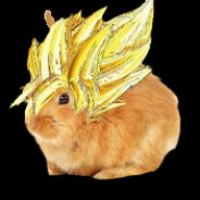 TheRabbit