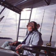 The Eternal Monkey Lord