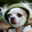 Group Avatar