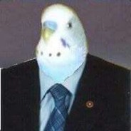 mrX