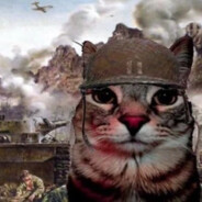 GATO TRAUMAD0