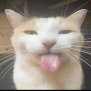 jiri  ° ͜ʖ °
