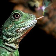 Lagarto Fumeta