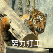 老虎