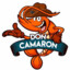 DON CAMARON