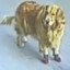 Dog with shoes's avatar