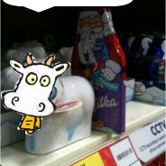 toni.makkaroni's Avatar