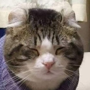Chonky-San
