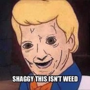 Zoinks Shaggy