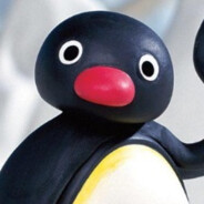 NOOT NOOT's Avatar