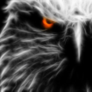 eagle eye's Avatar