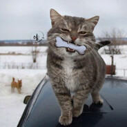 still alive's Avatar