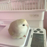 emiRR