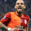 Wesley Sneijder