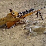 Wheezyfox80