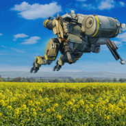 AssortedFern's Avatar