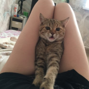 Oh, we're right behind yooou.