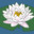 Group Avatar