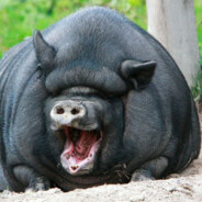 Steam Community :: жирная свинья