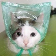 喵喵妙脆角's Avatar