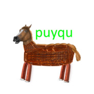 puyqu