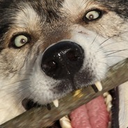 Bifflesprout - steam id 76561197965071420