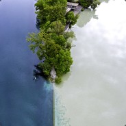 Emperor Brian's Avatar