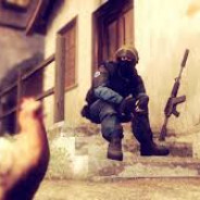 pummi