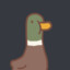 An_Angry_Duck