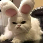 mlëm