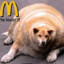 FatDog