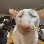 Once-daily Jardiance