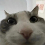 Nönnönnöö