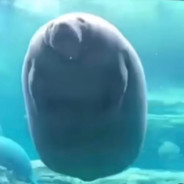 Big_Loaf