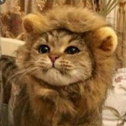 sFCartof