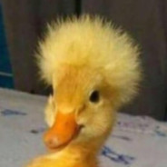 Lil Ducky