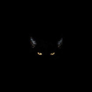 SeR's Avatar