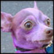 Purple.pt's avatar
