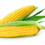 Волосня кукурузы