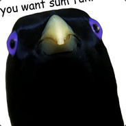 76561198428977875