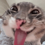 Luca