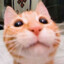 kattsand
