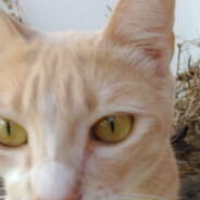 esta satisfecha con las lola