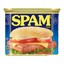 The SPAM Bandit